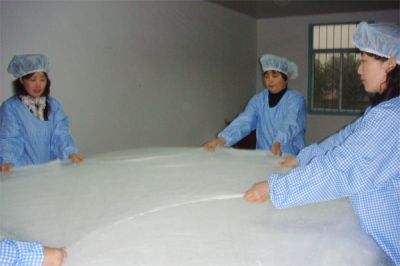 Silk Quilt
