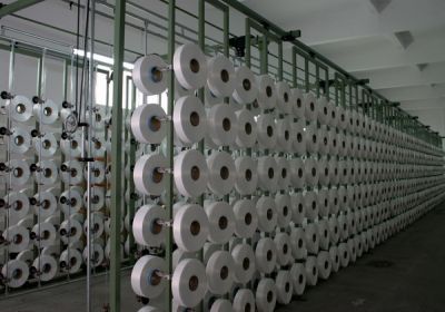 Warp knitting