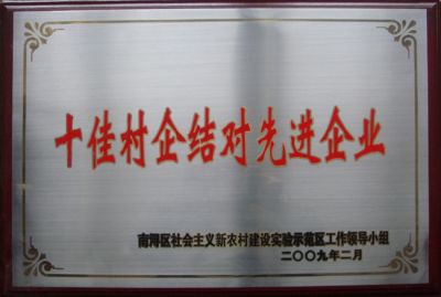 十佳村企结对先进企业