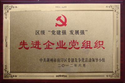 “党建强、发展强”先进企业党组织
