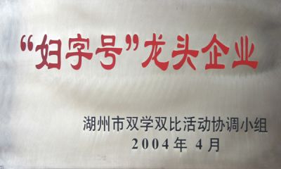 “妇字号”龙头企业